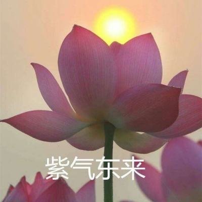 魔幻大陆公益服下载
